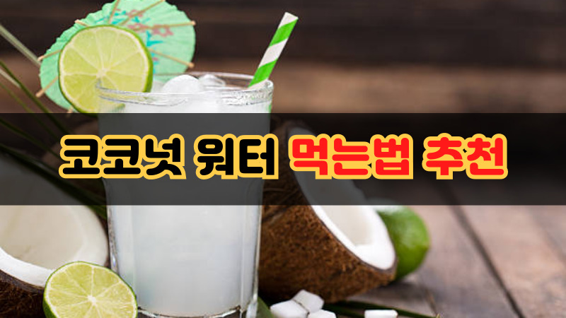 코코넛 워터 먹는법 추천