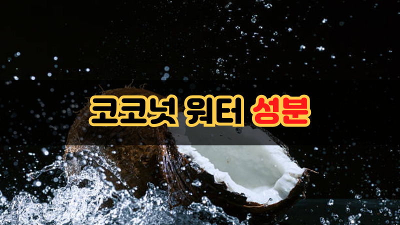 코코넛 워터 성분