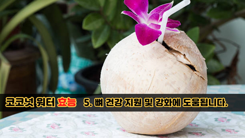 코코넛 워터 효능-5