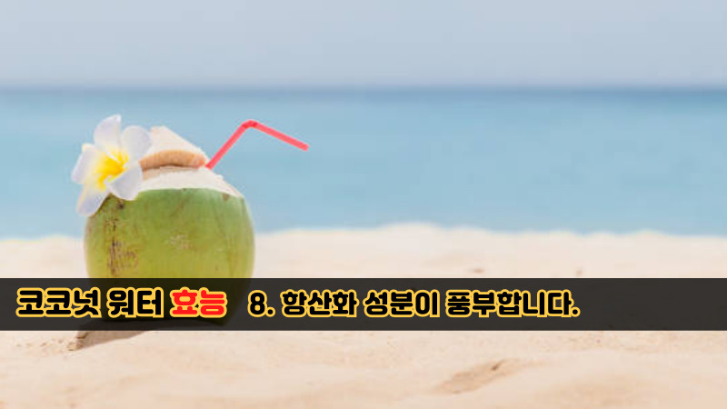 코코넛 워터 효능-8