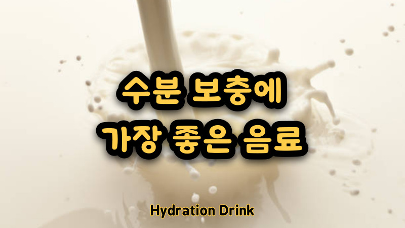수분 보충에 가장 좋은 음료