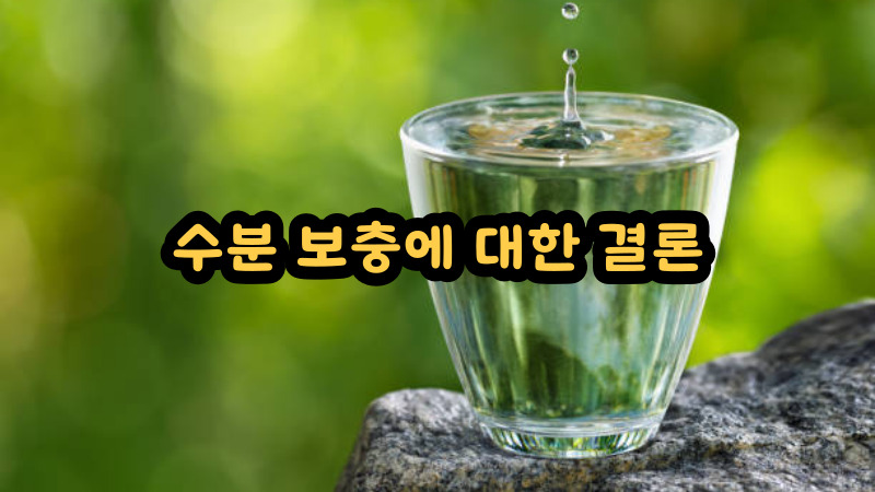 수분 보충에 대한 결론