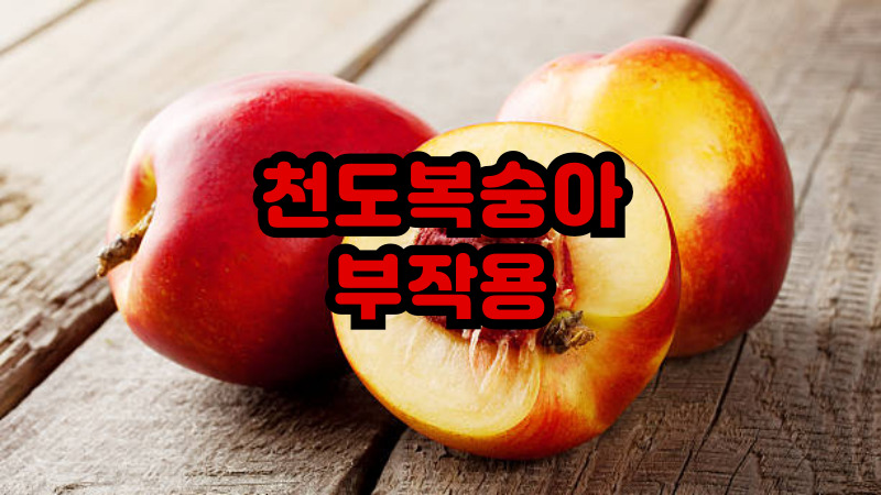 천도복숭아 부작용