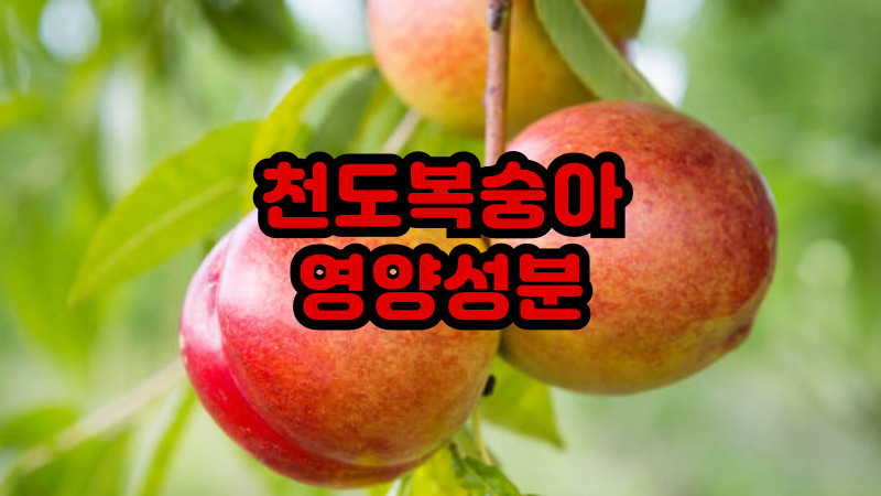 천도복숭아 영양성분