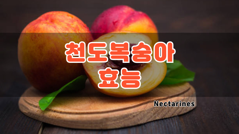 천도복숭아 효능