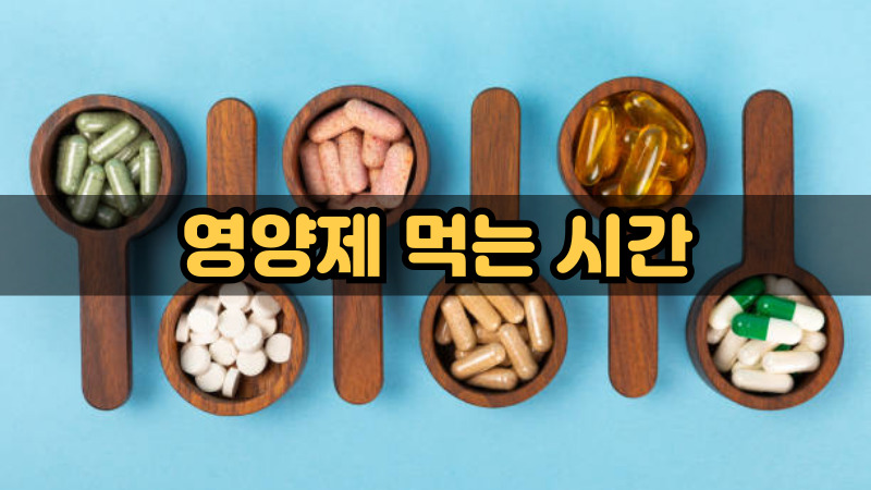 영양제 먹는 시간