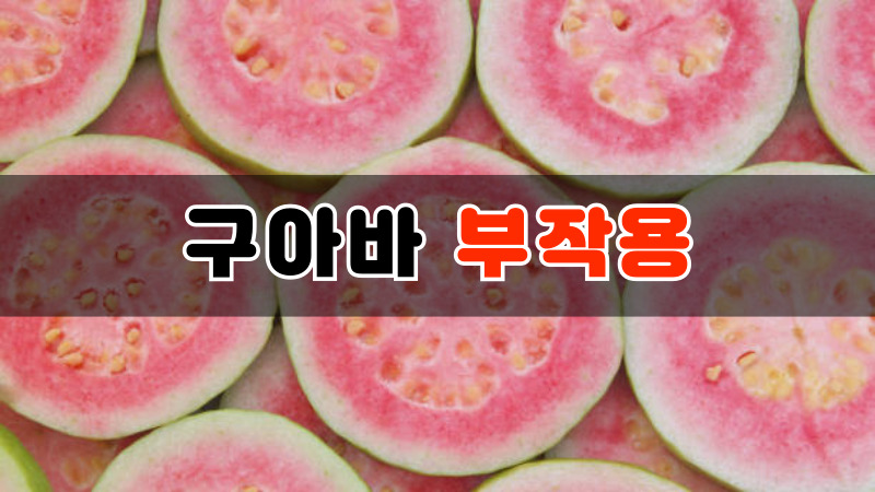 구아바 부작용