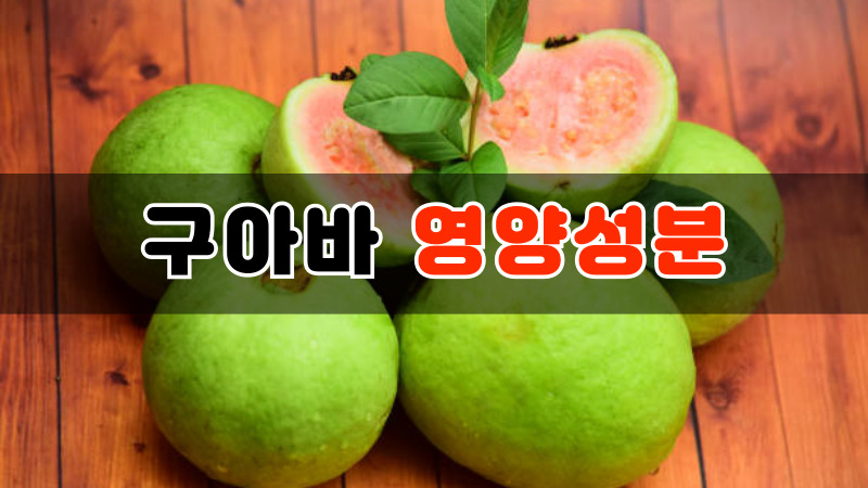 구아바 영양성분
