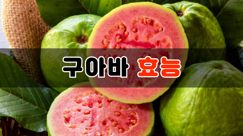 구아바 효능