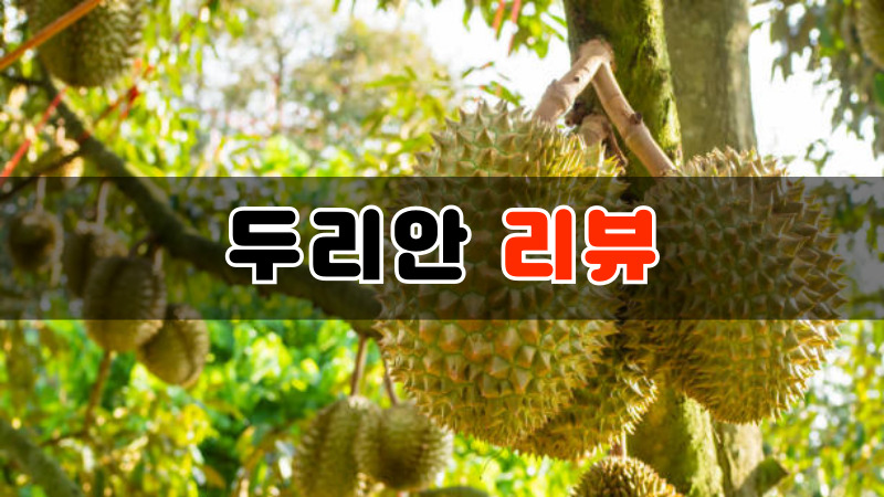 두리안 리뷰