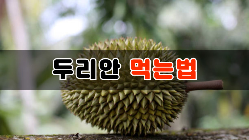 두리안 먹는법