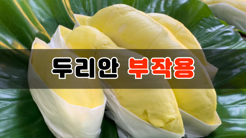 두리안 부작용