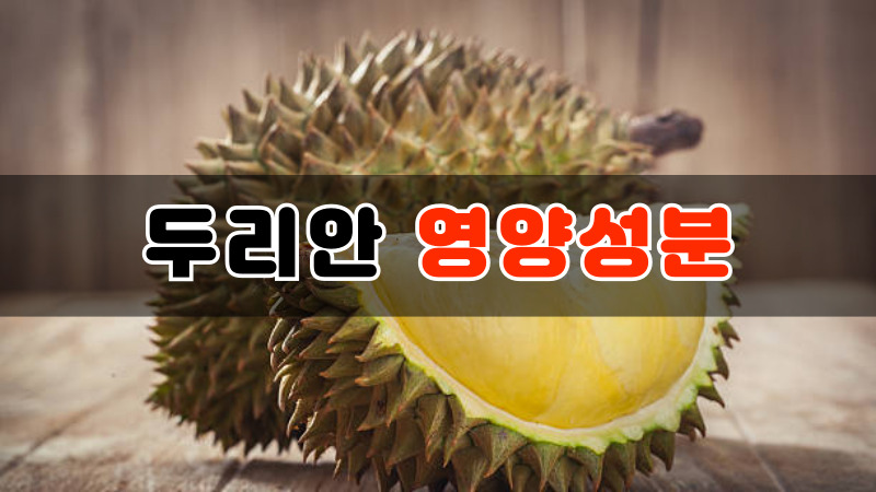 두리안 영양성분