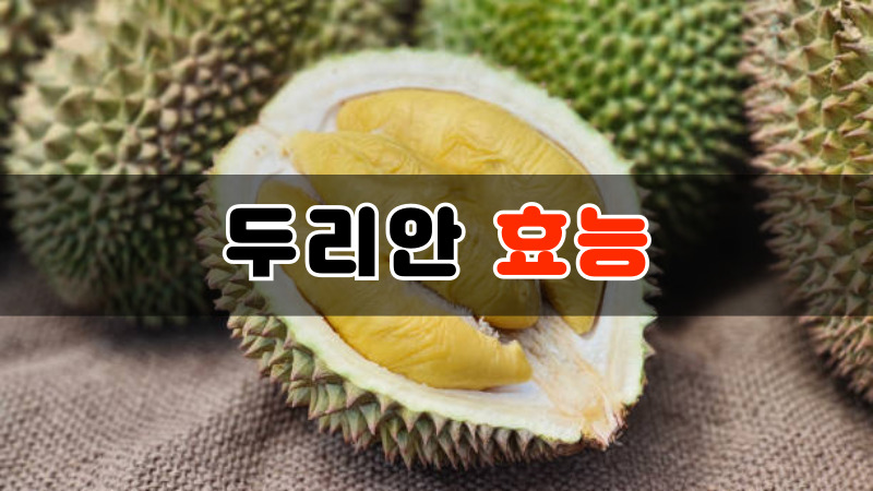 두리안 효능