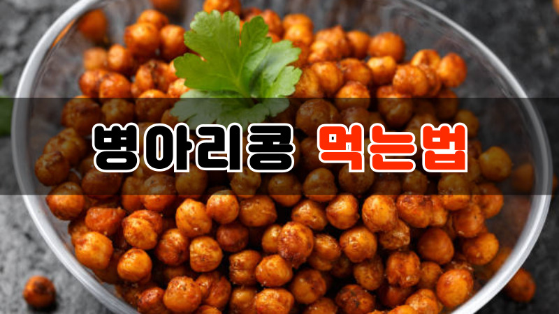 병아리콩 먹는법