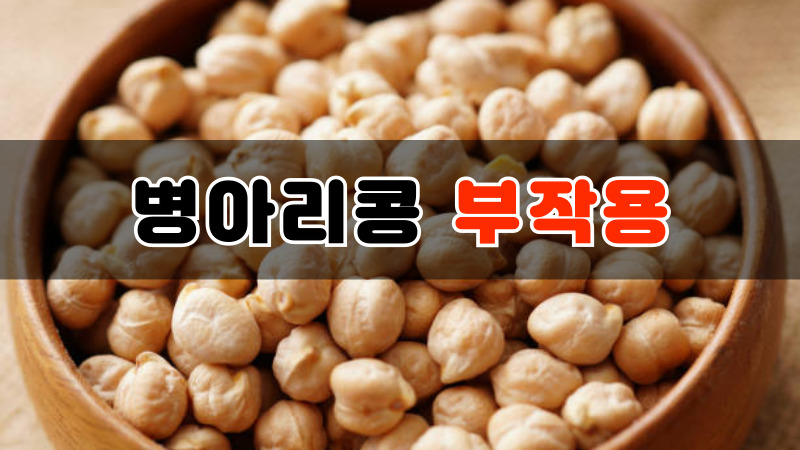 병아리콩 부작용