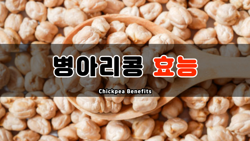 병아리콩 효능