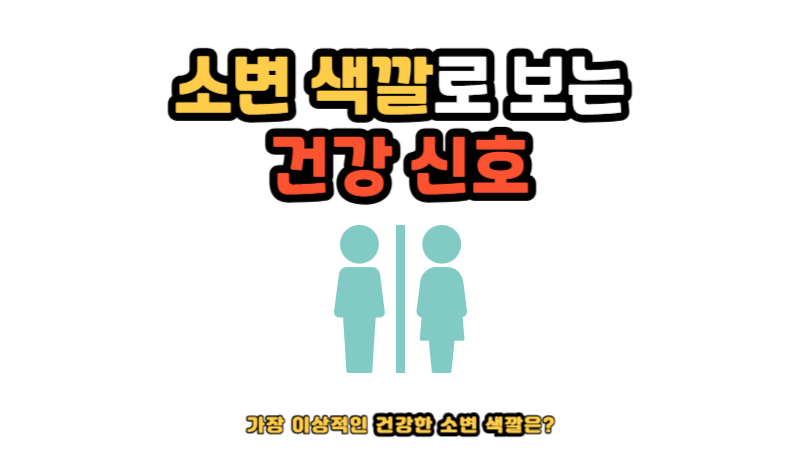 소변 색깔로 보는 건강 신호