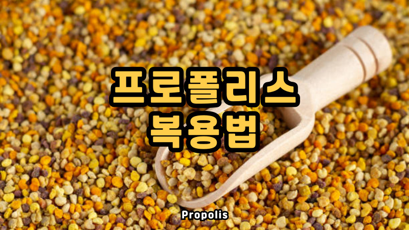 프로폴리스 복용법