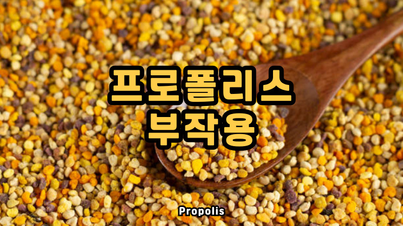 프로폴리스 부작용
