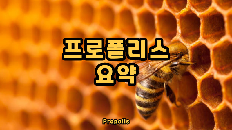 프로폴리스 요약