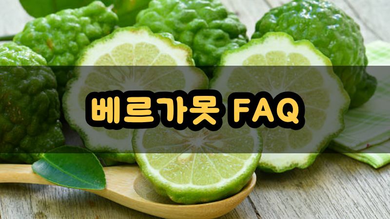 베르가못 FAQ