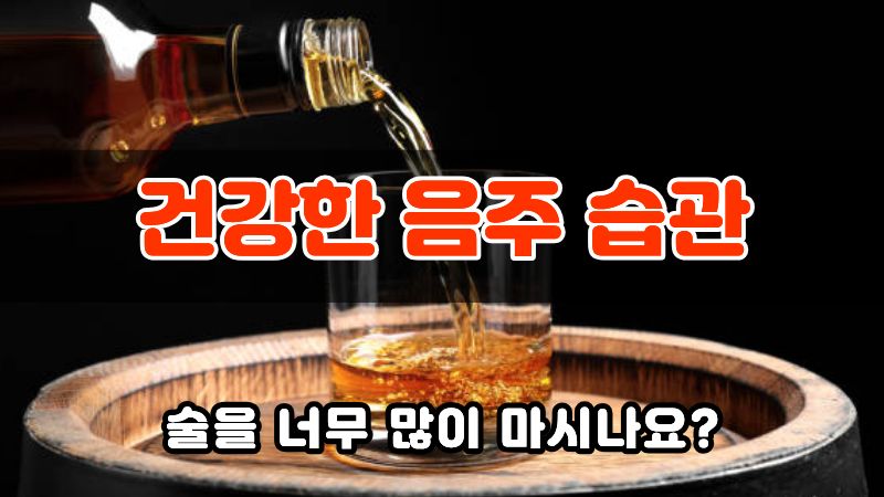 건강한 음주 습관