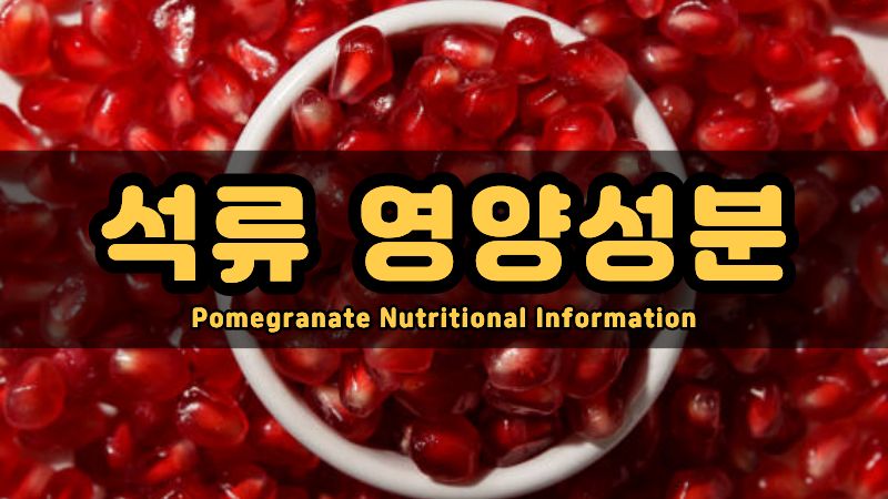 석류 영양성분