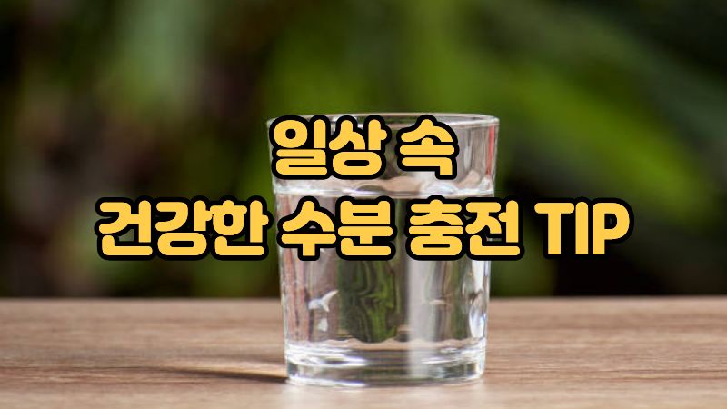 일상 속 건강한 수분 충전 TIP