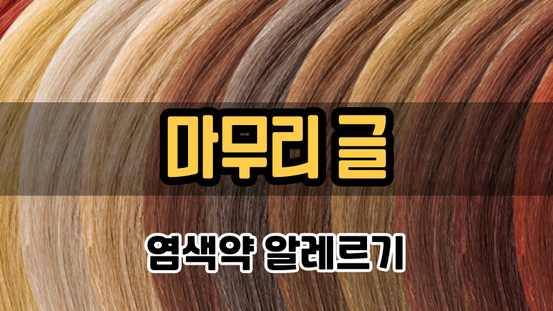 마무리 글 (염색약 알레르기)