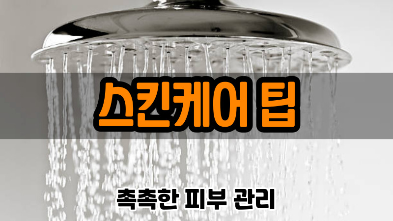 스킨케어 팁 (촉촉한 피부 관리)