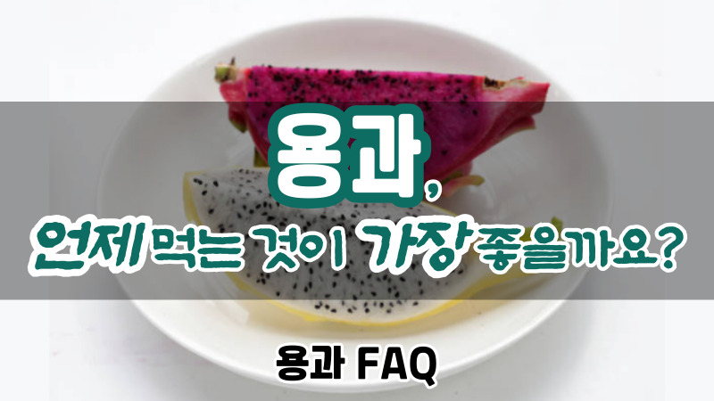 용과 FAQ