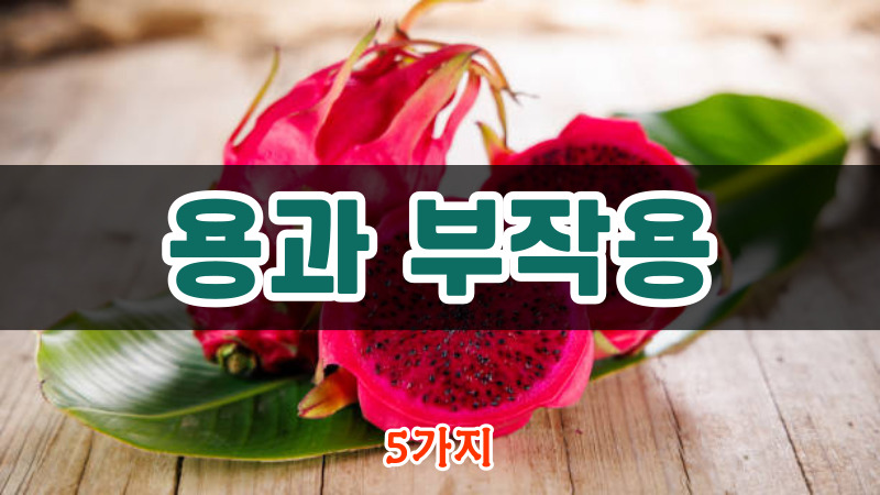 용과 부작용