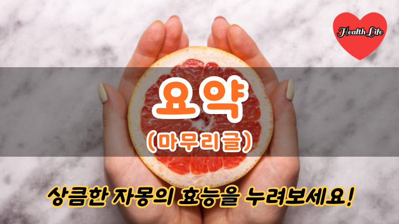 요약