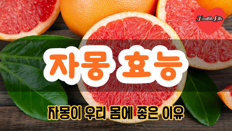 자몽 효능
