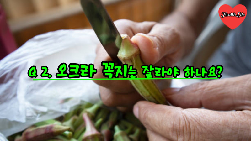 Q 2. 오크라 꼭지