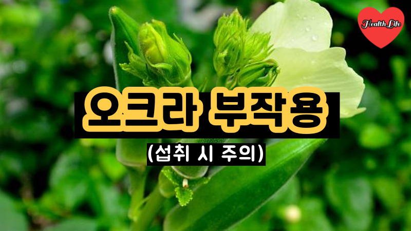 오크라 부작용