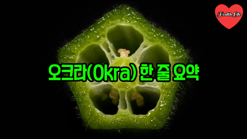 오크라 한 줄 요약