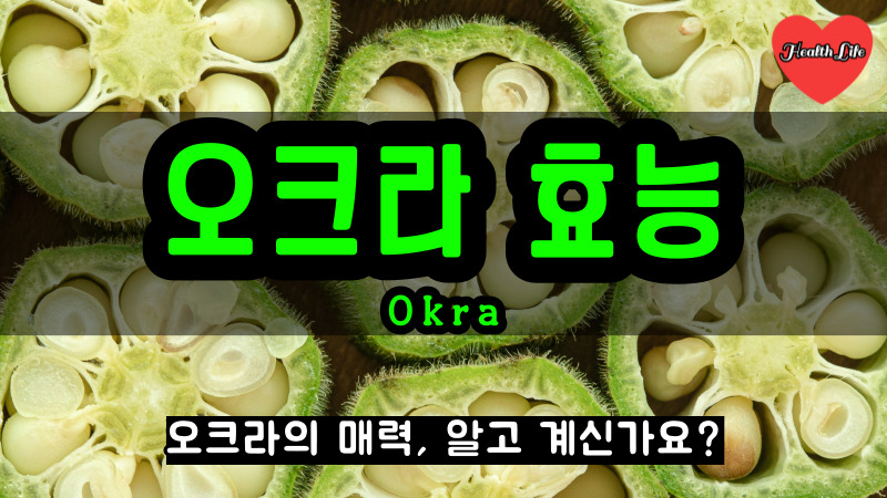 오크라 효능